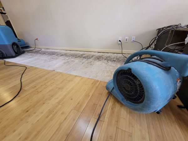 Cost of Water Damage Mitigation in Miami