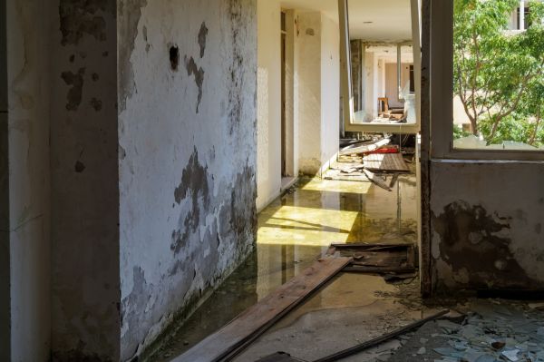 Cost of Water Removal Service in Miami