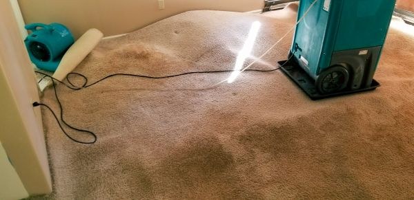 Carpet Water Extraction in Miami