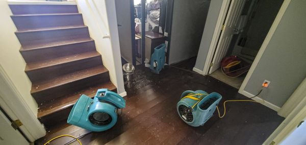 Cost of Water Damage Remediation in Miami