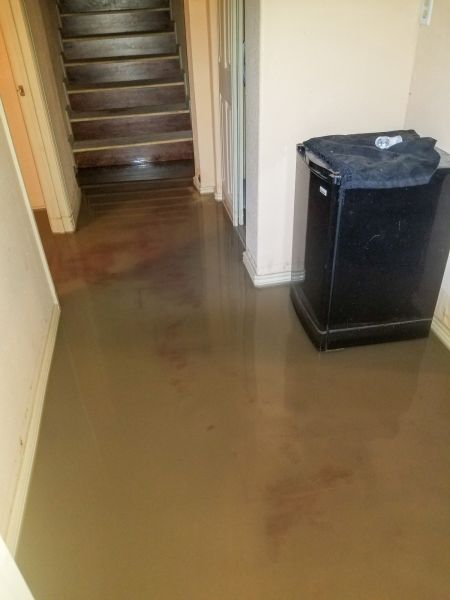 Emergency Water Removal in Miami