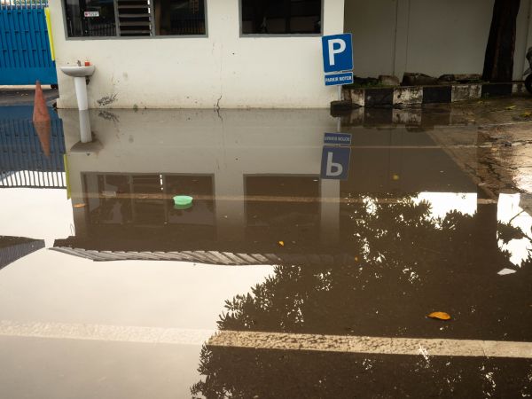 Cost of Storm Damage Repair in Miami