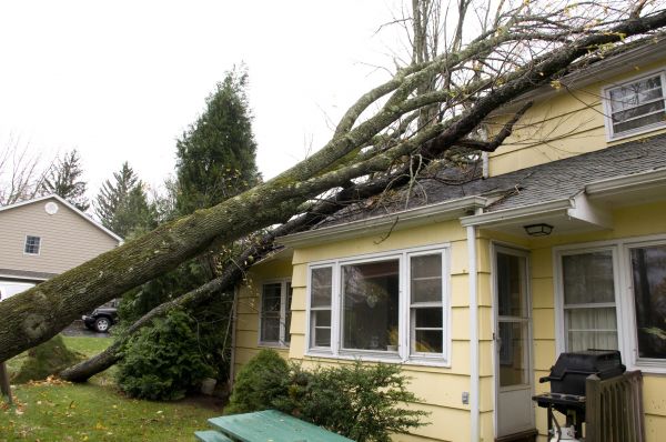 Cost of Hurricane Damage Repair in Miami